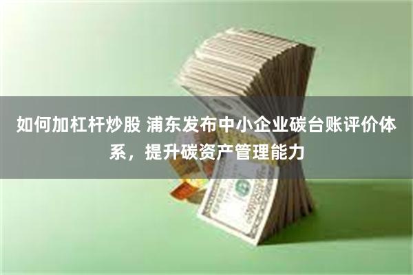 如何加杠杆炒股 浦东发布中小企业碳台账评价体系，提升碳资产管理能力