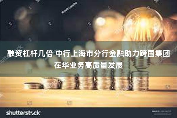 融资杠杆几倍 中行上海市分行金融助力跨国集团在华业务高质量发展