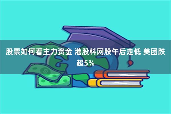 股票如何看主力资金 港股科网股午后走低 美团跌超5%