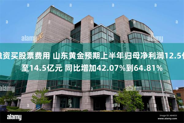 融资买股票费用 山东黄金预期上半年归母净利润12.5亿至14.5亿元 同比增加42.07%到64.81%