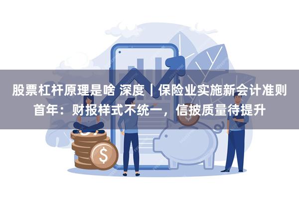 股票杠杆原理是啥 深度｜保险业实施新会计准则首年：财报样式不统一，信披质量待提升