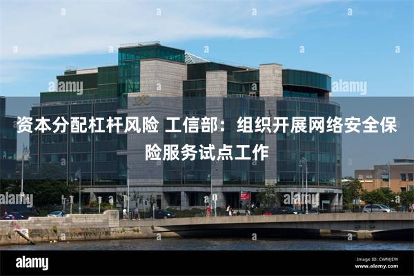 资本分配杠杆风险 工信部：组织开展网络安全保险服务试点工作