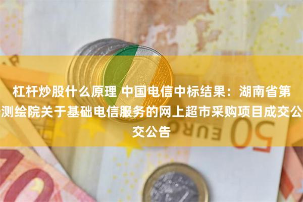 杠杆炒股什么原理 中国电信中标结果：湖南省第一测绘院关于基础电信服务的网上超市采购项目成交公告