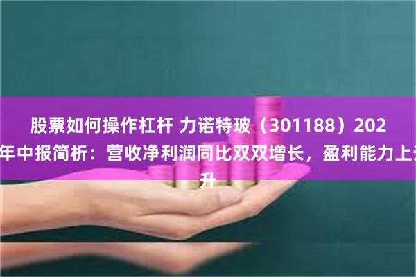 股票如何操作杠杆 力诺特玻（301188）2024年中报简析：营收净利润同比双双增长，盈利能力上升