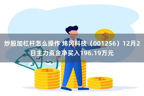 炒股加杠杆怎么操作 炜冈科技（001256）12月2日主力资金净买入196.19万元