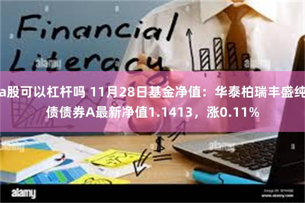 a股可以杠杆吗 11月28日基金净值：华泰柏瑞丰盛纯债债券A最新净值1.1413，涨0.11%