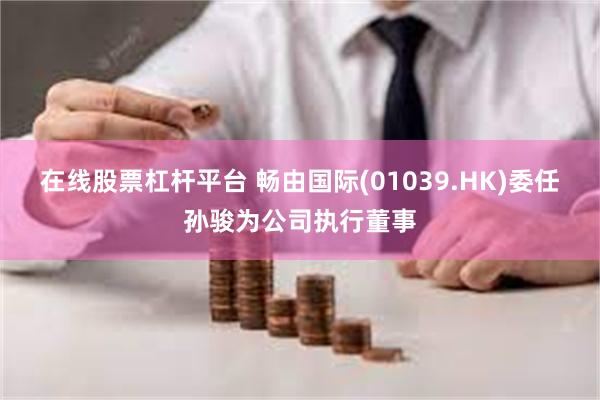 在线股票杠杆平台 畅由国际(01039.HK)委任孙骏为公司执行董事